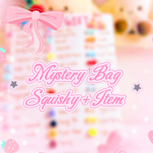 Mystery Bag Squishy + Item